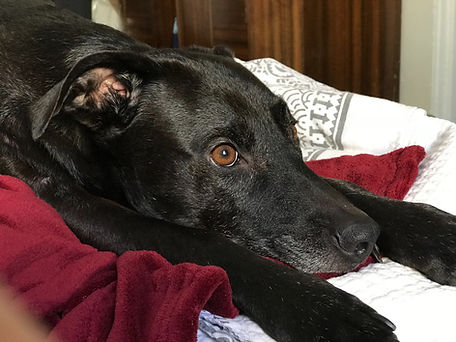 How to Leave the Life You&nbsp;Love